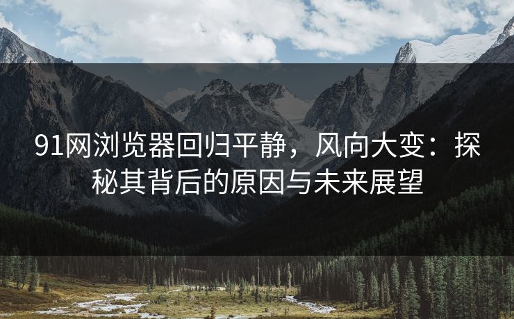 91网浏览器回归平静，风向大变：探秘其背后的原因与未来展望