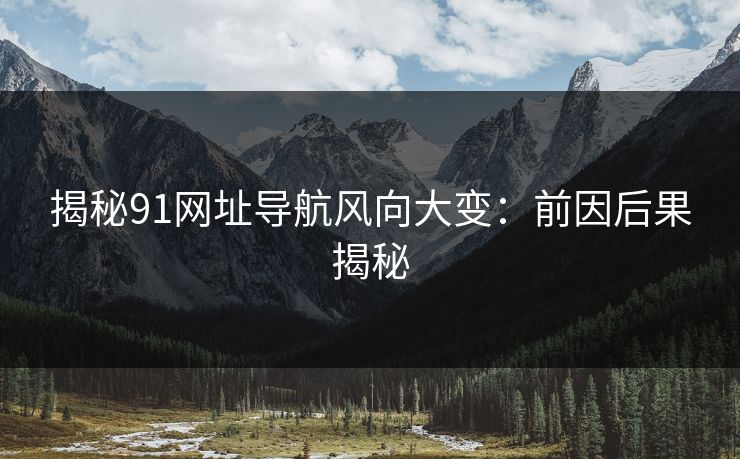 揭秘91网址导航风向大变：前因后果揭秘