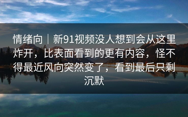 情绪向｜新91视频没人想到会从这里炸开，比表面看到的更有内容，怪不得最近风向突然变了，看到最后只剩沉默