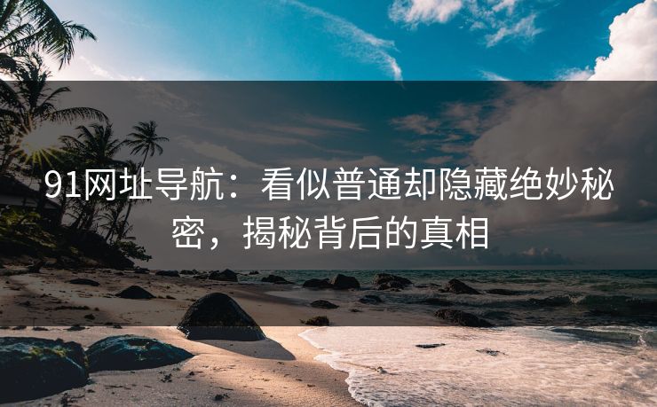 91网址导航：看似普通却隐藏绝妙秘密，揭秘背后的真相