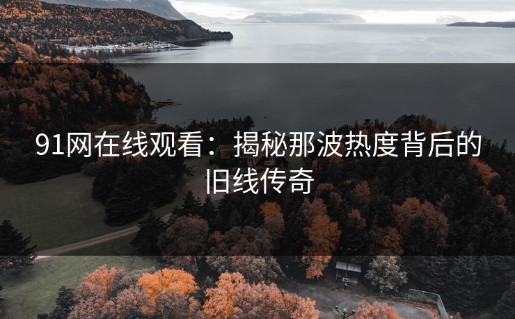 91网在线观看：揭秘那波热度背后的旧线传奇