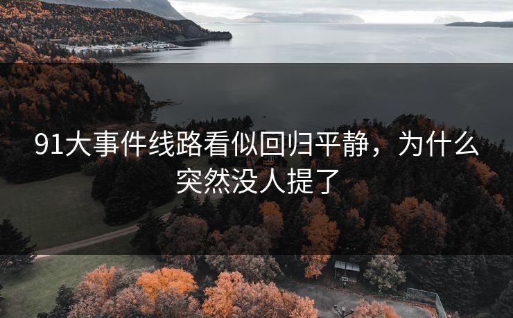 91大事件线路看似回归平静，为什么突然没人提了