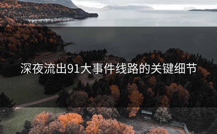深夜流出91大事件线路的关键细节