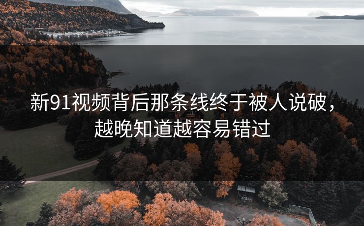 新91视频背后那条线终于被人说破,越晚知道越容易错过