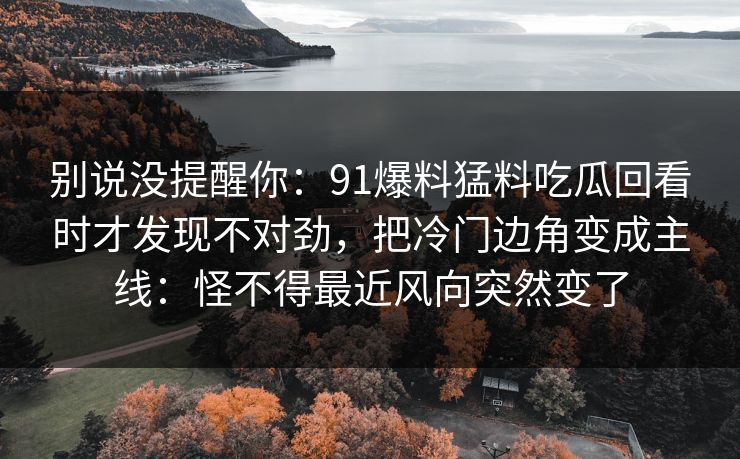 别说没提醒你：91爆料猛料吃瓜回看时才发现不对劲，把冷门边角变成主线：怪不得最近风向突然变了