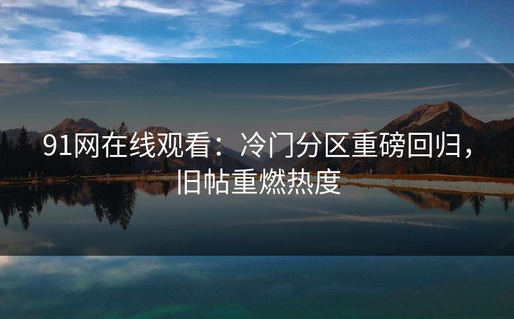 91网在线观看：冷门分区重磅回归，旧帖重燃热度